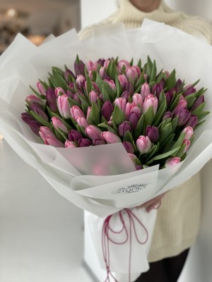 101 pink purpule tulips